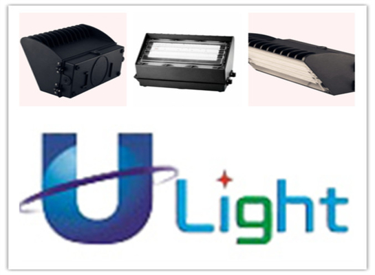 17W 低い電力の Black&White LED の壁のパックはフォトセル 1600Lm をつけます
