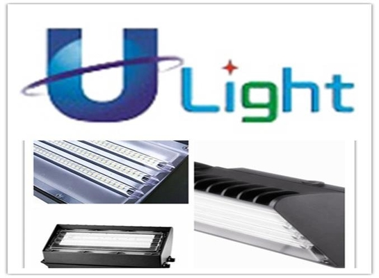 17W 低い電力の Black&White LED の壁のパックはフォトセル 1600Lm をつけます