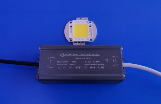 AC 110V/220V は軽い運転者、LED の一定した流れの電源 30W - 40W --を導きました